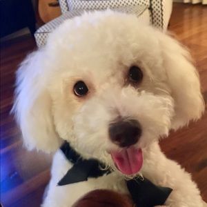 Meet your Posher, Erikka